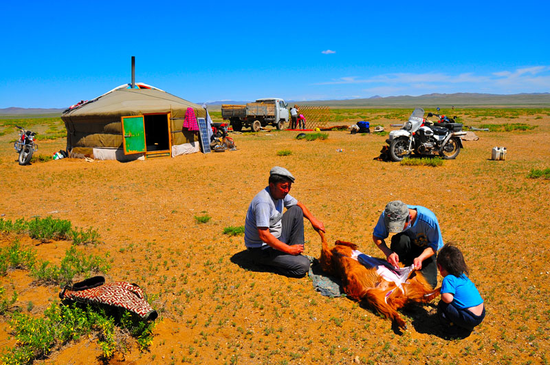 Mongolie